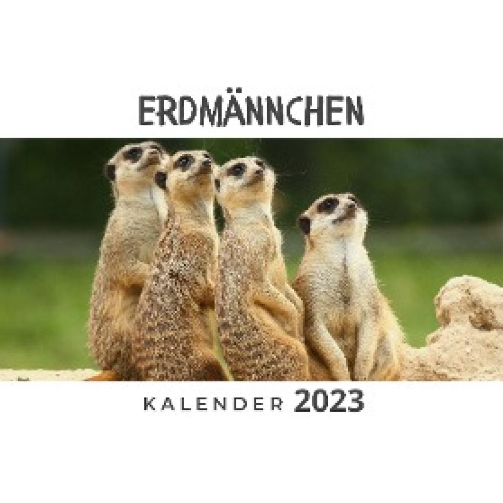 Hübsch, Bibi: Erdmännchen