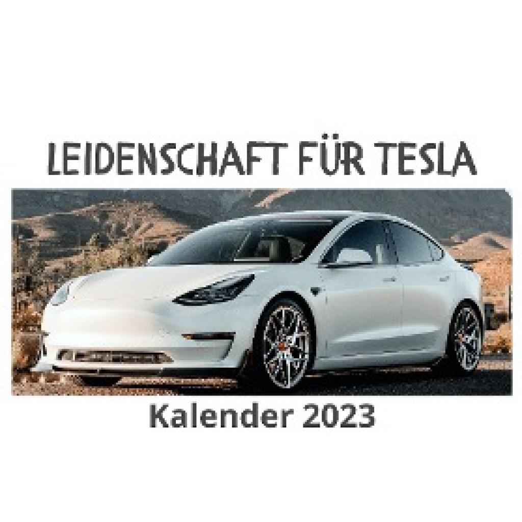 Hübsch, Bibi: Leidenschaft für Tesla