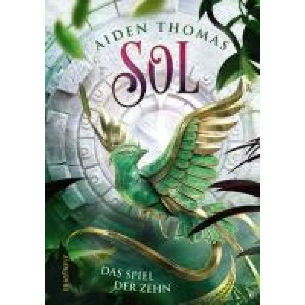9783748802419 - SOL Das Spiel der Zehn - Aiden Thomas Gebunden