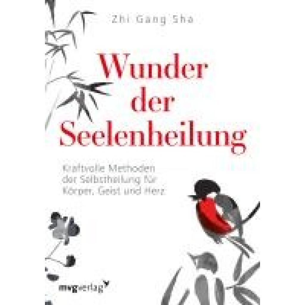 Sha, Zhi Gang: Wunder der Seelenheilung