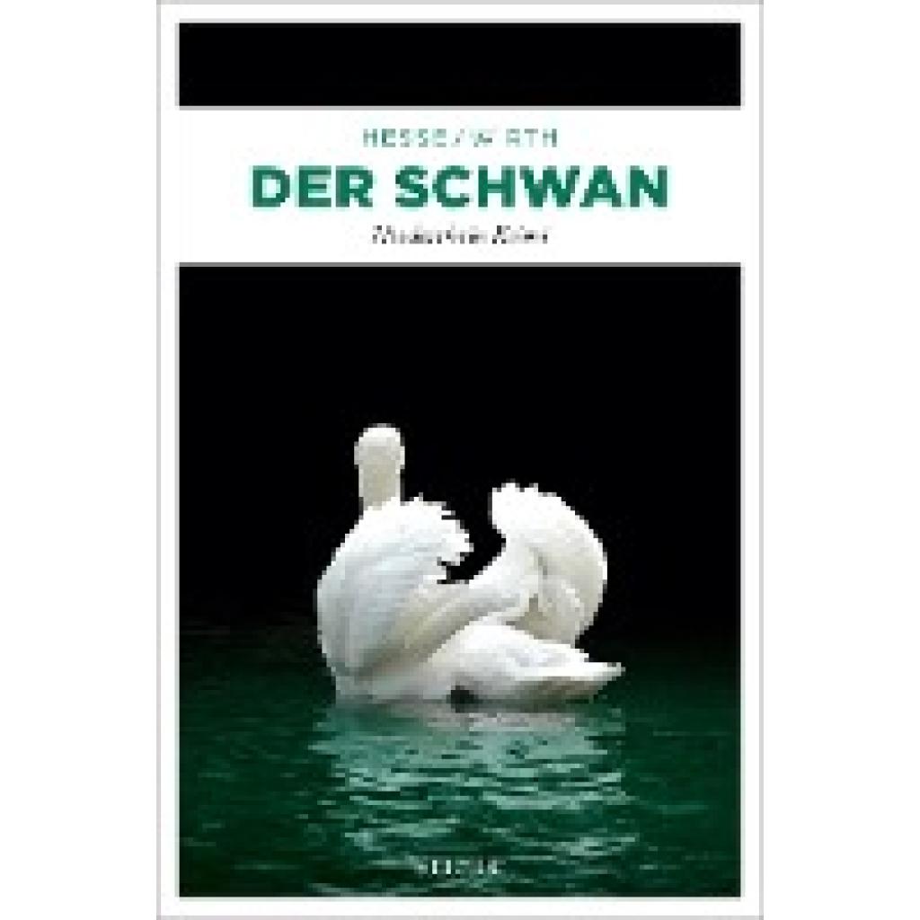 9783740818081 - Der Schwan - Thomas Hesse Renate Wirth Kartoniert (TB)