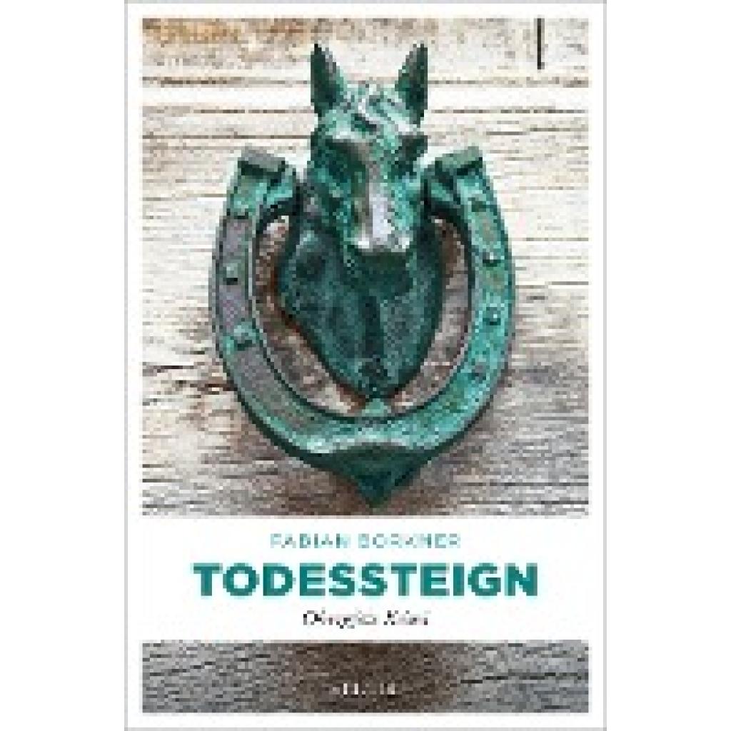 9783740818067 - Todessteign - Fabian Borkner Kartoniert (TB)