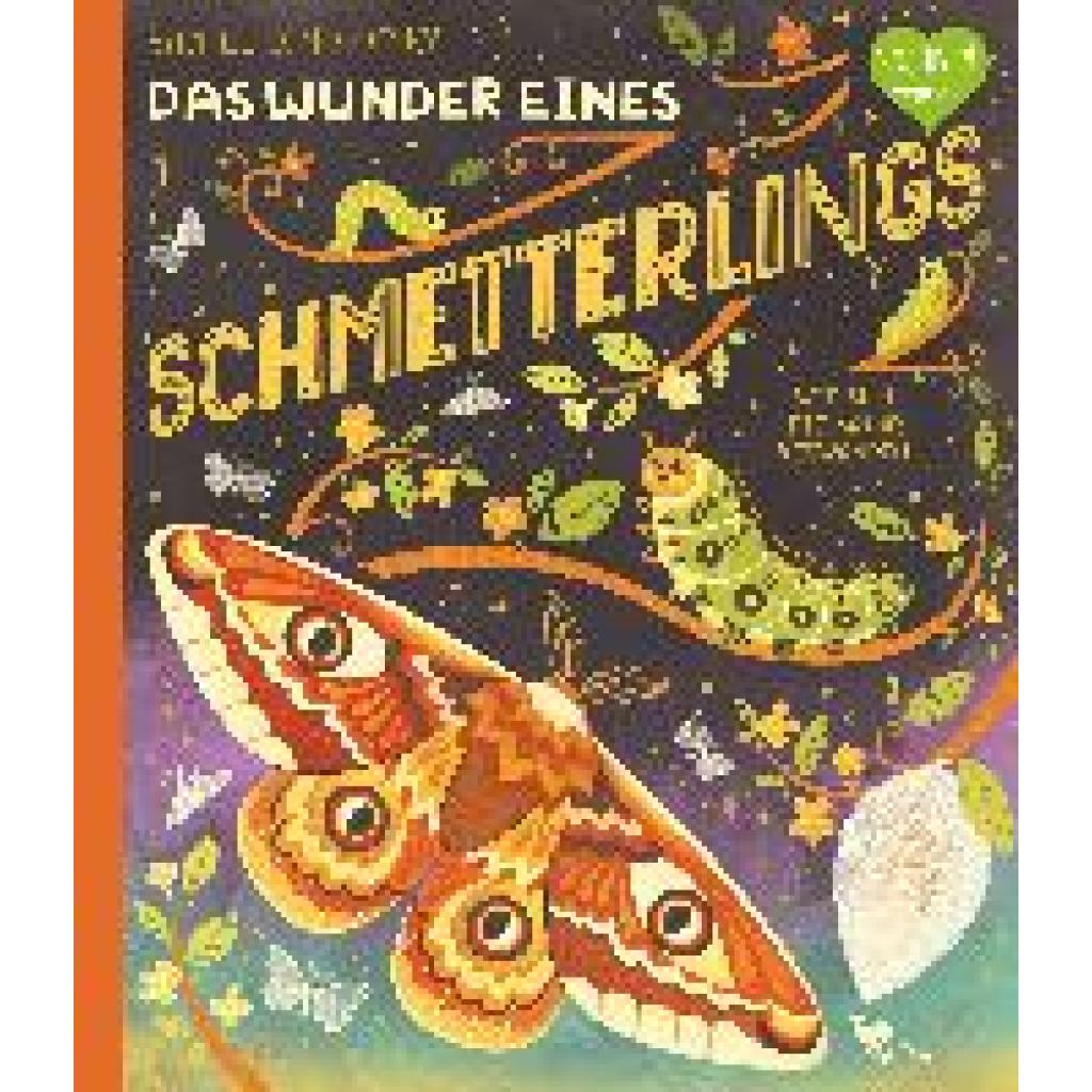 9783734860645 - Das Wunder eines Schmetterlings - Wie sich die Natur verwandelt - Rachel Ignotofsky Gebunden