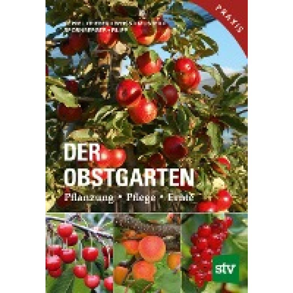 9783702016821 - Der Obstgarten - Herbert Keppel Karl Pieber Josef Weiss Herbert Muster Andreas Spornberger Martin Filipp Kartoniert (TB)