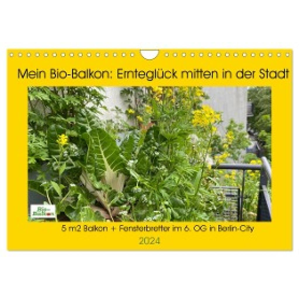 Schattling, Birgit: Mein Bio-Balkon: Ernteglück mitten in der Stadt (Wandkalender 2024 DIN A4 quer), CALVENDO Monatskale