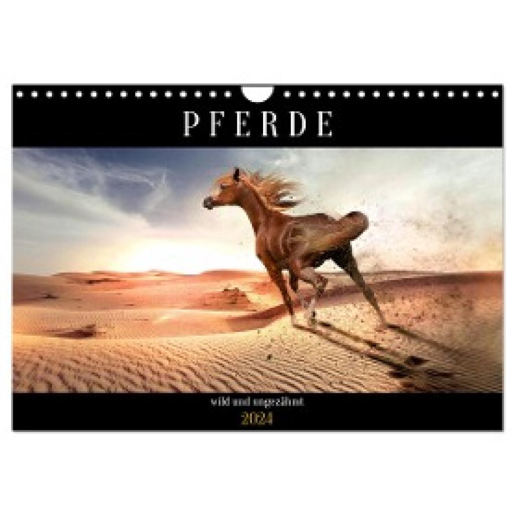 Utz, Renate: Pferde - wild und ungezähmt (Wandkalender 2024 DIN A4 quer), CALVENDO Monatskalender