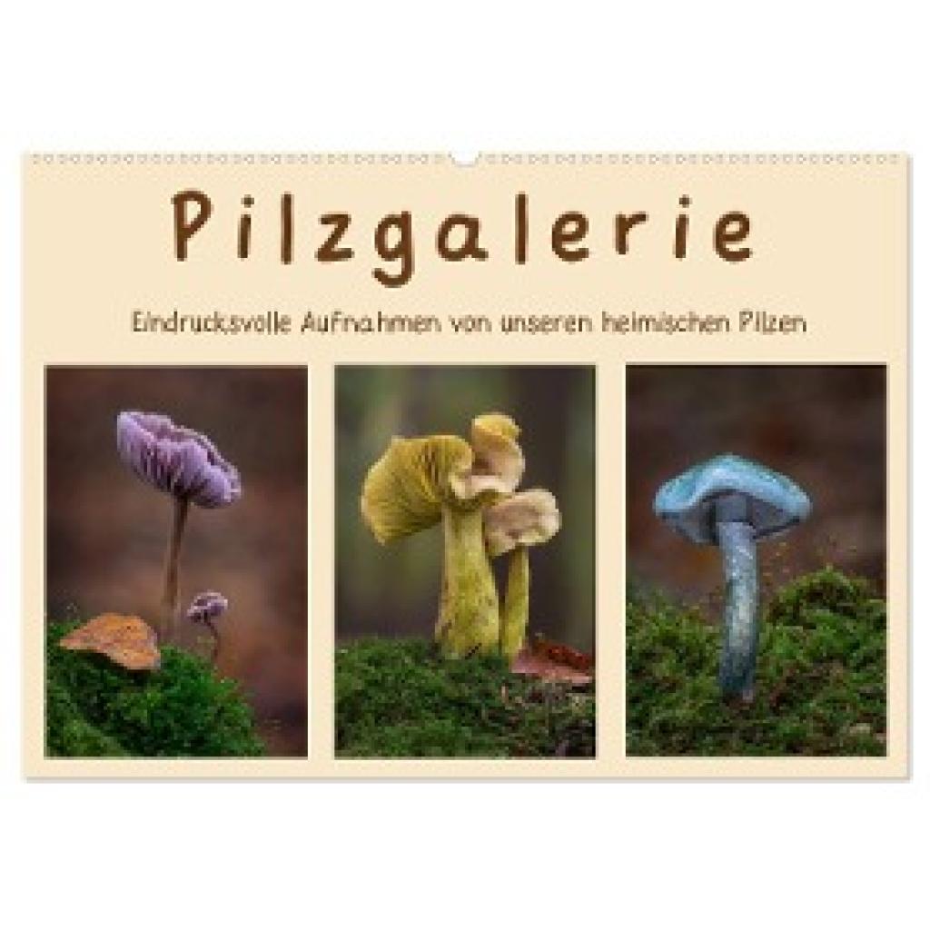 Wurster, Beate: Pilzgalerie - Eindrucksvolle Aufnahmen von unseren heimischen Pilzen (Wandkalender 2024 DIN A2 quer), CA
