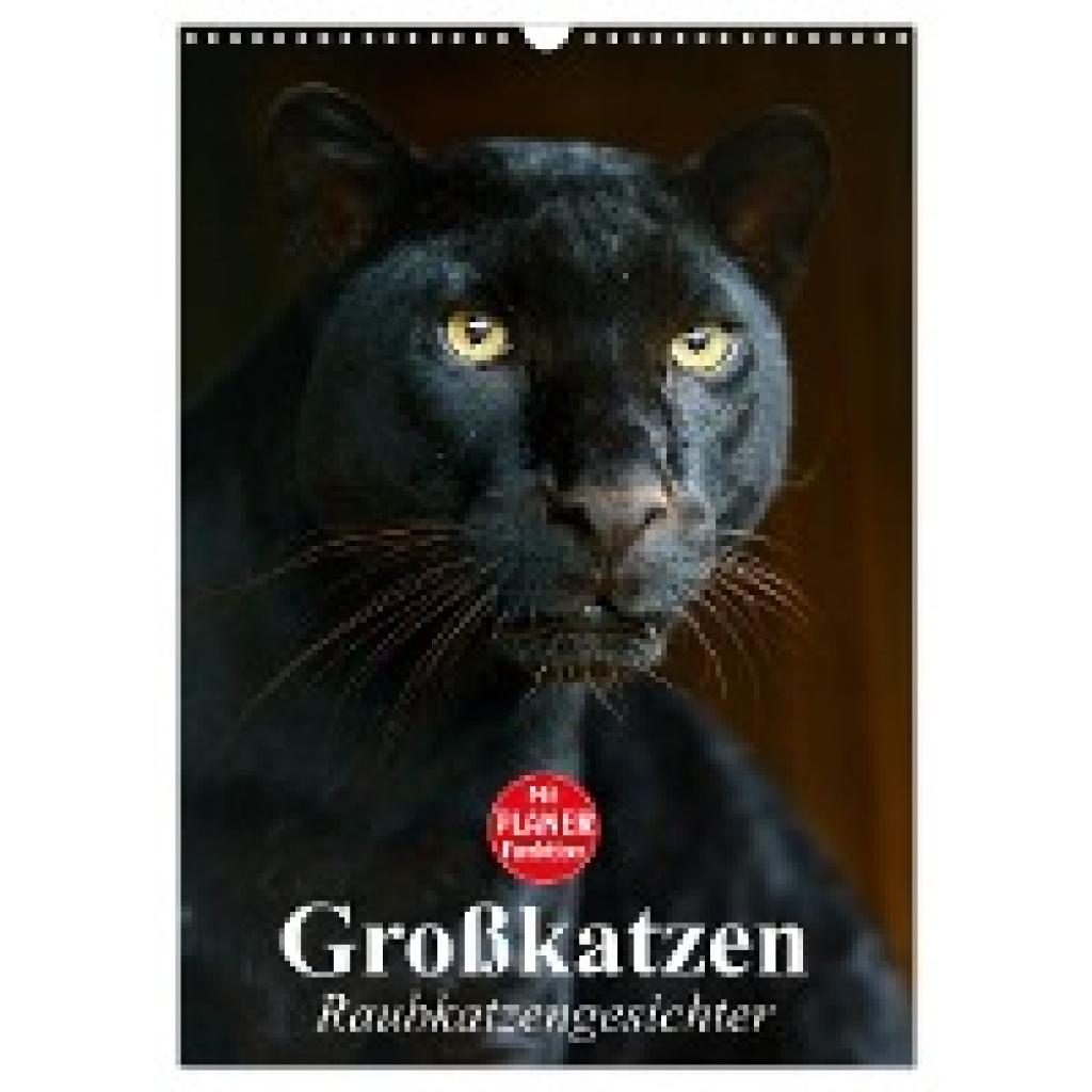 Stanzer, Elisabeth: Großkatzen. Raubkatzengesichter (Wandkalender 2024 DIN A3 hoch), CALVENDO Monatskalender