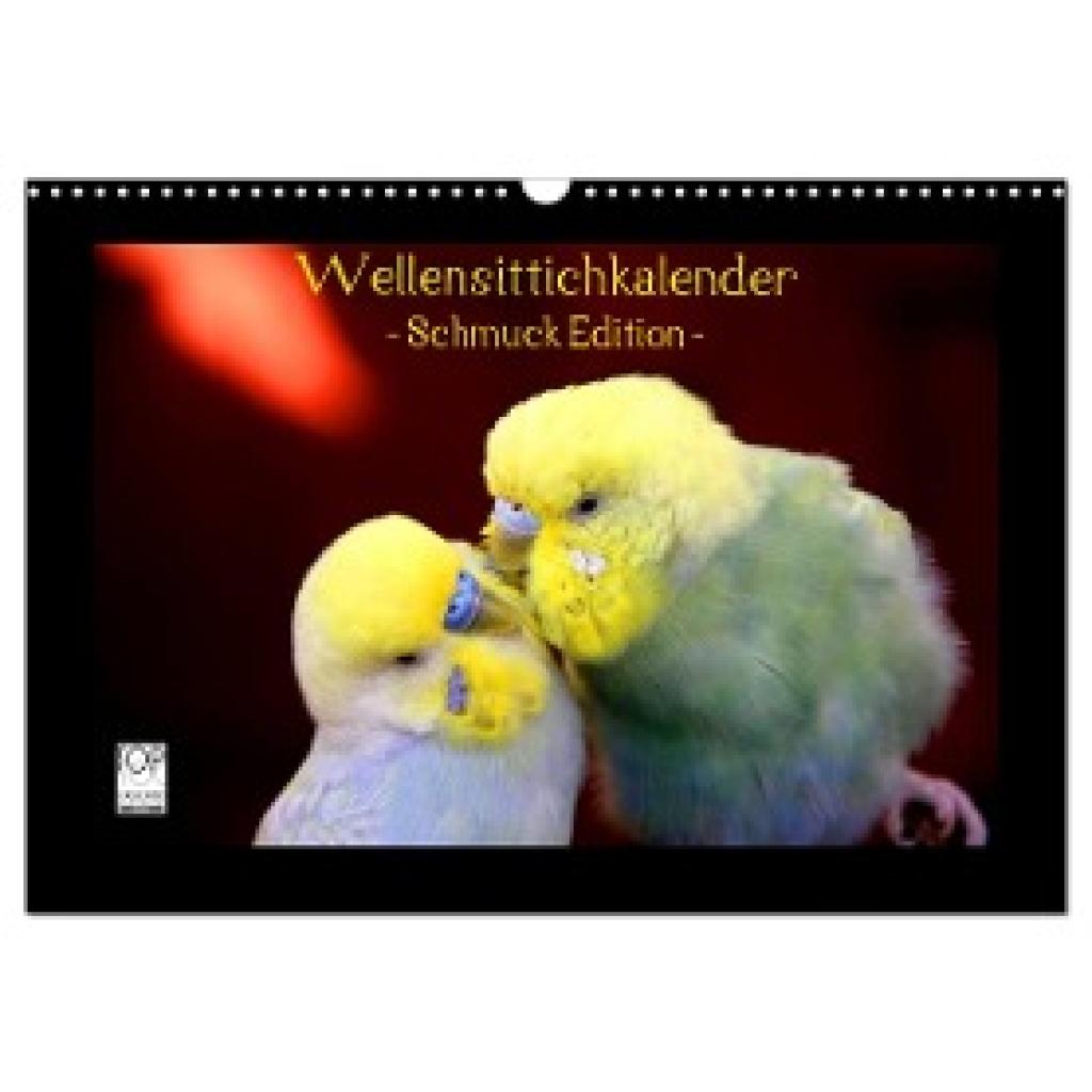 Bergmann, Björn: Wellensittichkalender - Schmuck Edition (Wandkalender 2024 DIN A3 quer), CALVENDO Monatskalender