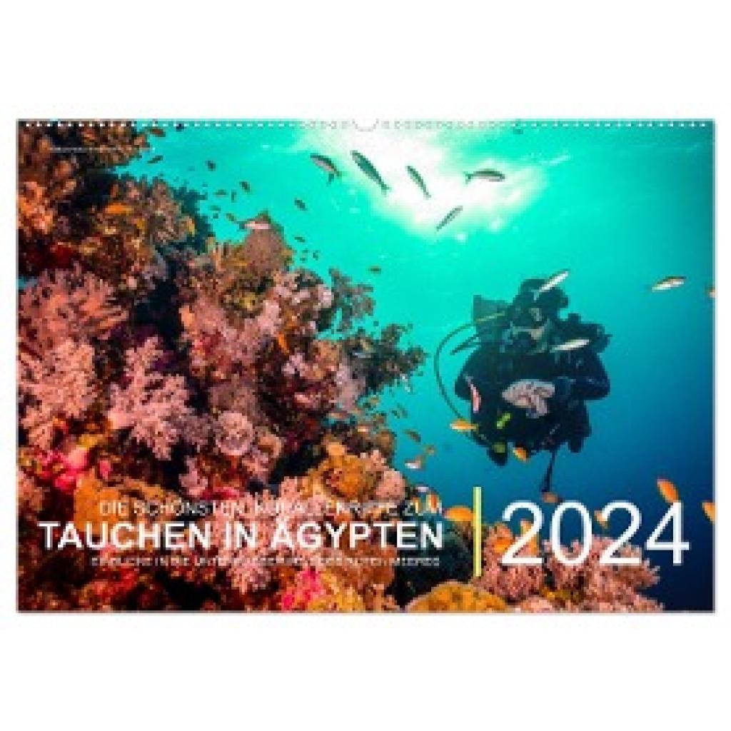 Hubo - feel4nature, Christian: Die schönsten Korallenriffe zum Tauchen in Ägypten (Wandkalender 2024 DIN A2 quer), CALVE