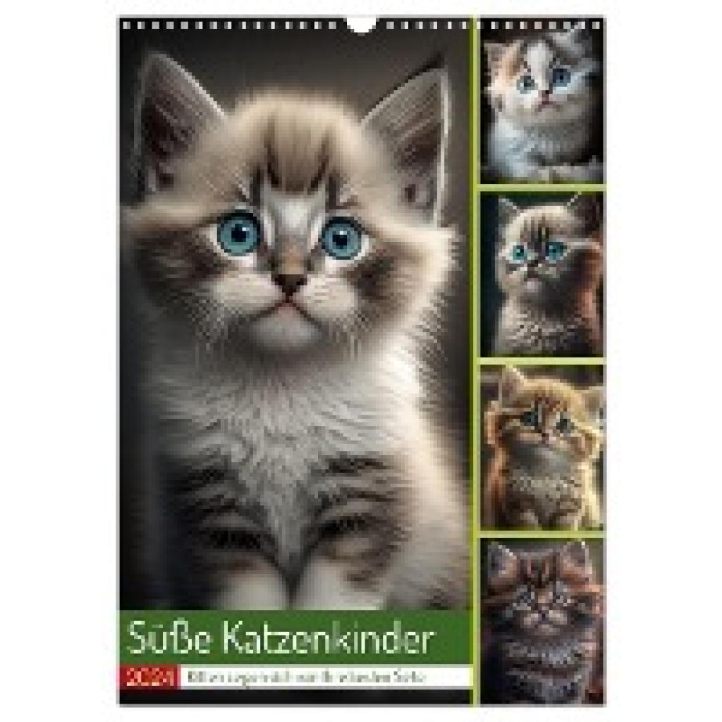Gierok-Latniak, Steffen: Süße Katzenkinder (Wandkalender 2024 DIN A3 hoch), CALVENDO Monatskalender