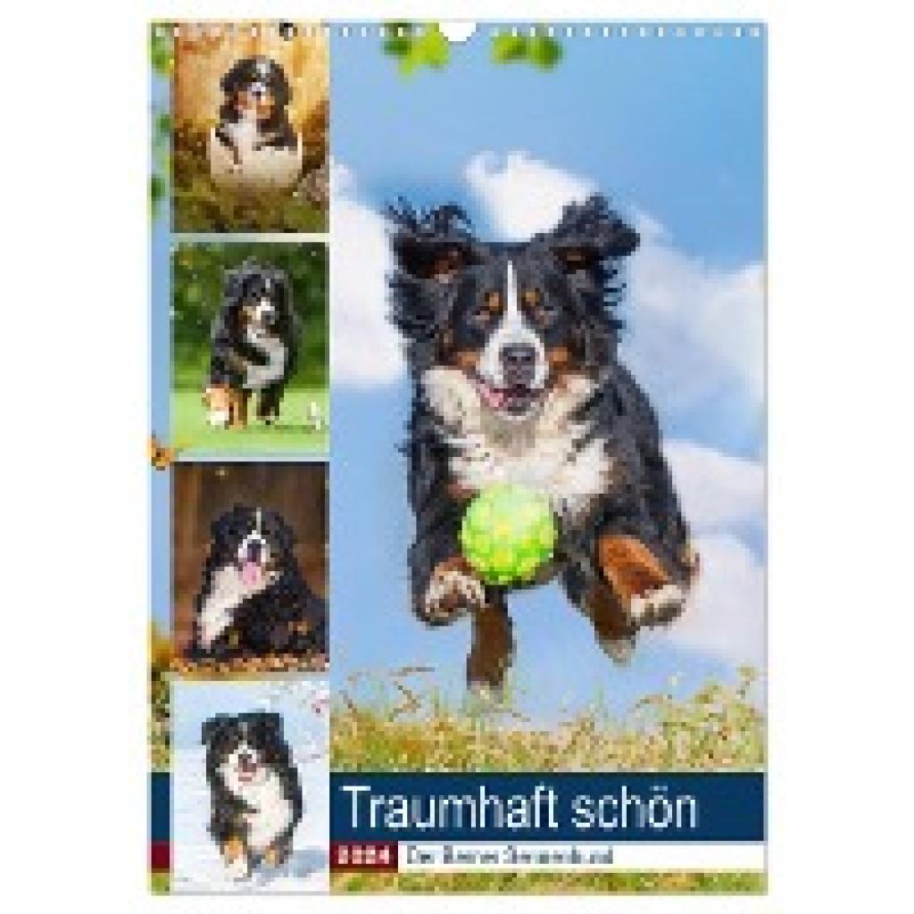 Starick, Sigrid: Traumhaft schön - Der Berner Sennenhund (Wandkalender 2024 DIN A3 hoch), CALVENDO Monatskalender