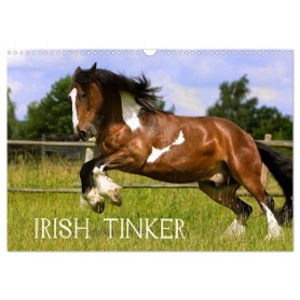 Wejat-Zaretzke, Gabriela: Irish Tinker (Wandkalender 2024 DIN A3 quer), CALVENDO Monatskalender