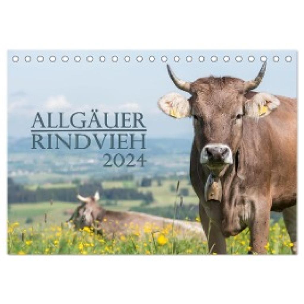 Wandel, Juliane: Allgäuer Rindvieh 2024 (Tischkalender 2024 DIN A5 quer), CALVENDO Monatskalender