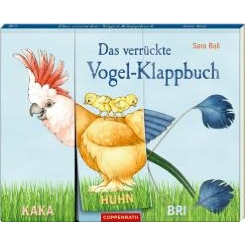 9783649641094 - - GEBRAUCHT Das verrückte Vogel-Klappbuch - Preis vom 02102023 050404 h 9783649641094 - - GEBRAUCHT Das verrückte Vogel-Klappbuch - Preis vom 02102023 050404 h