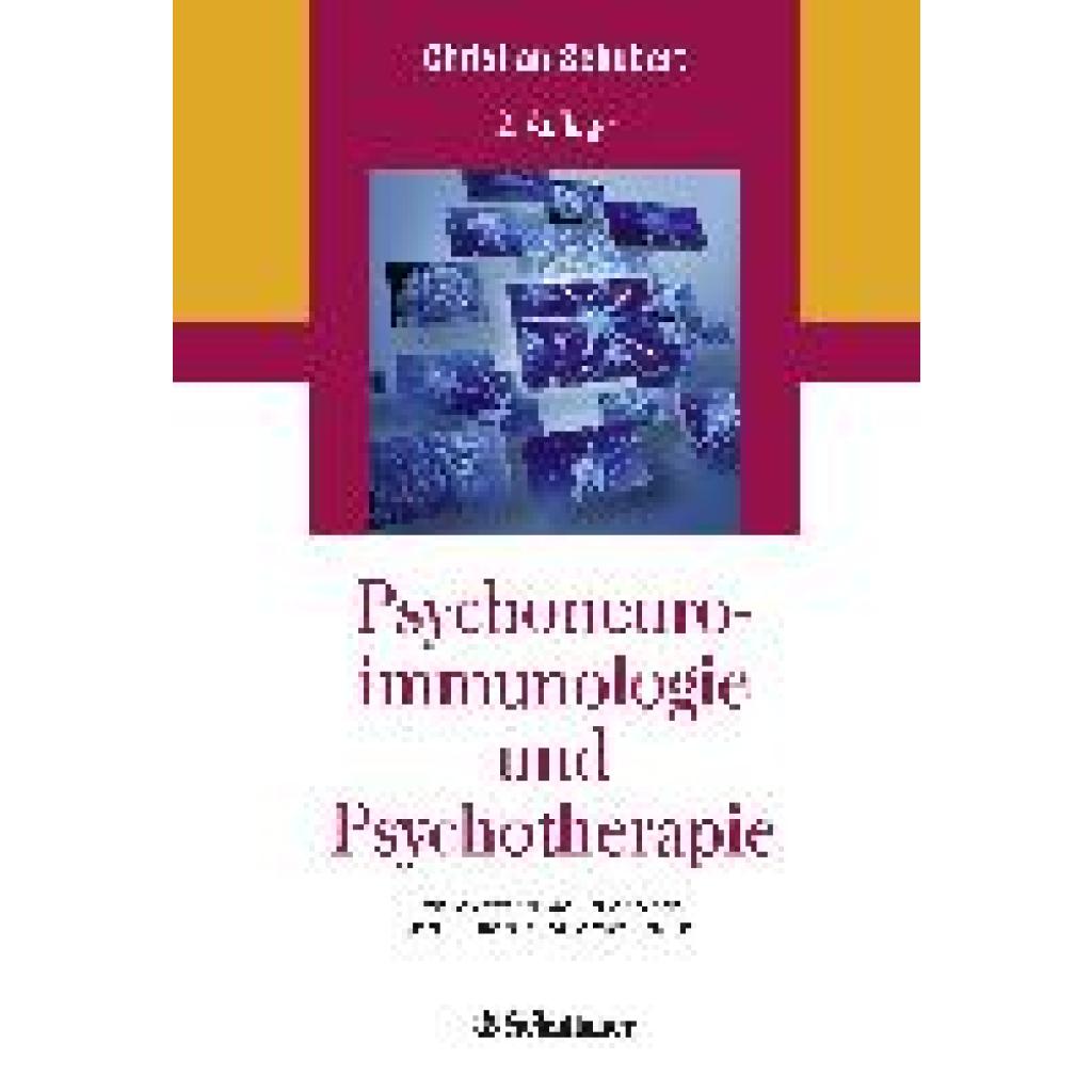 9783608430462 - Psychoneuroimmunologie und Psychotherapie Gebunden 9783608430462 - Psychoneuroimmunologie und Psychotherapie Gebunden
