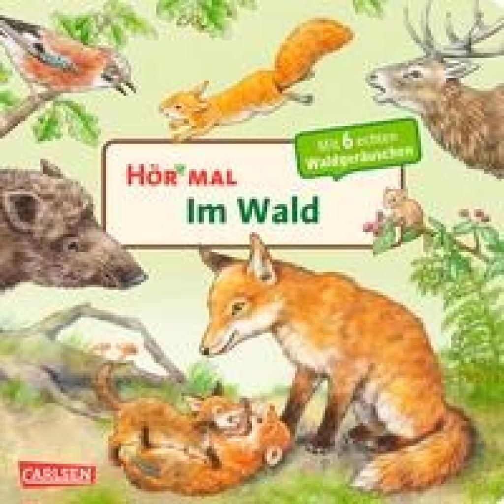 Möller, Anne: Hör mal (Soundbuch): Im Wald