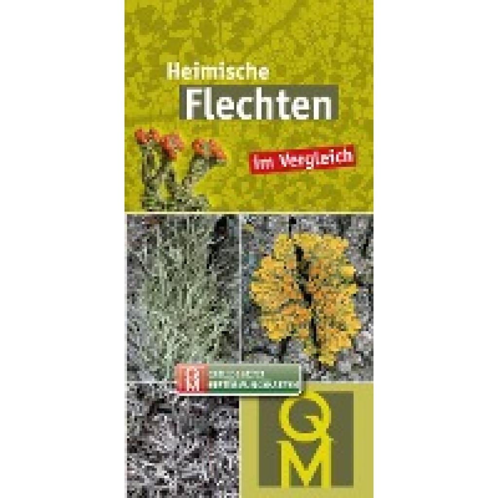 9783494019482 - 10er-Set Heimische Flechten im Vergleich 9783494019482 - 10er-Set Heimische Flechten im Vergleich