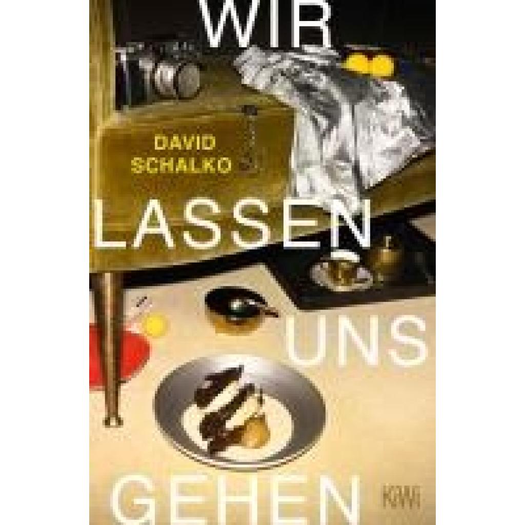 9783462004984 - Wir lassen uns gehen - David Schalko Taschenbuch 9783462004984 - Wir lassen uns gehen - David Schalko Taschenbuch