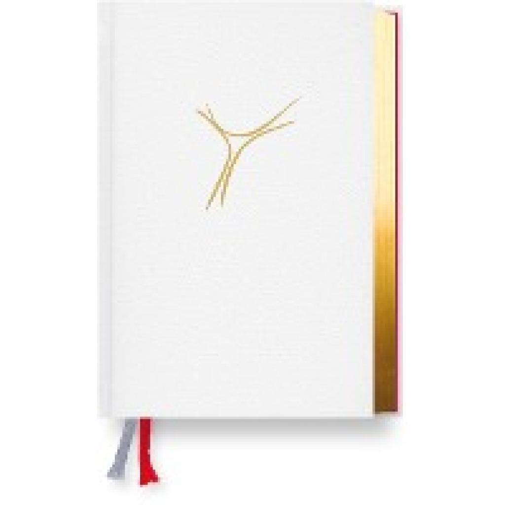 9783460422339 - - GEBRAUCHT Gotteslob Bistum Fulda Cabra weiß Goldschnitt Katholisches Gebet- und Gesangbuch Neues Gotteslob für das Bistum Fulda - Preis vom 08102023 050440 h