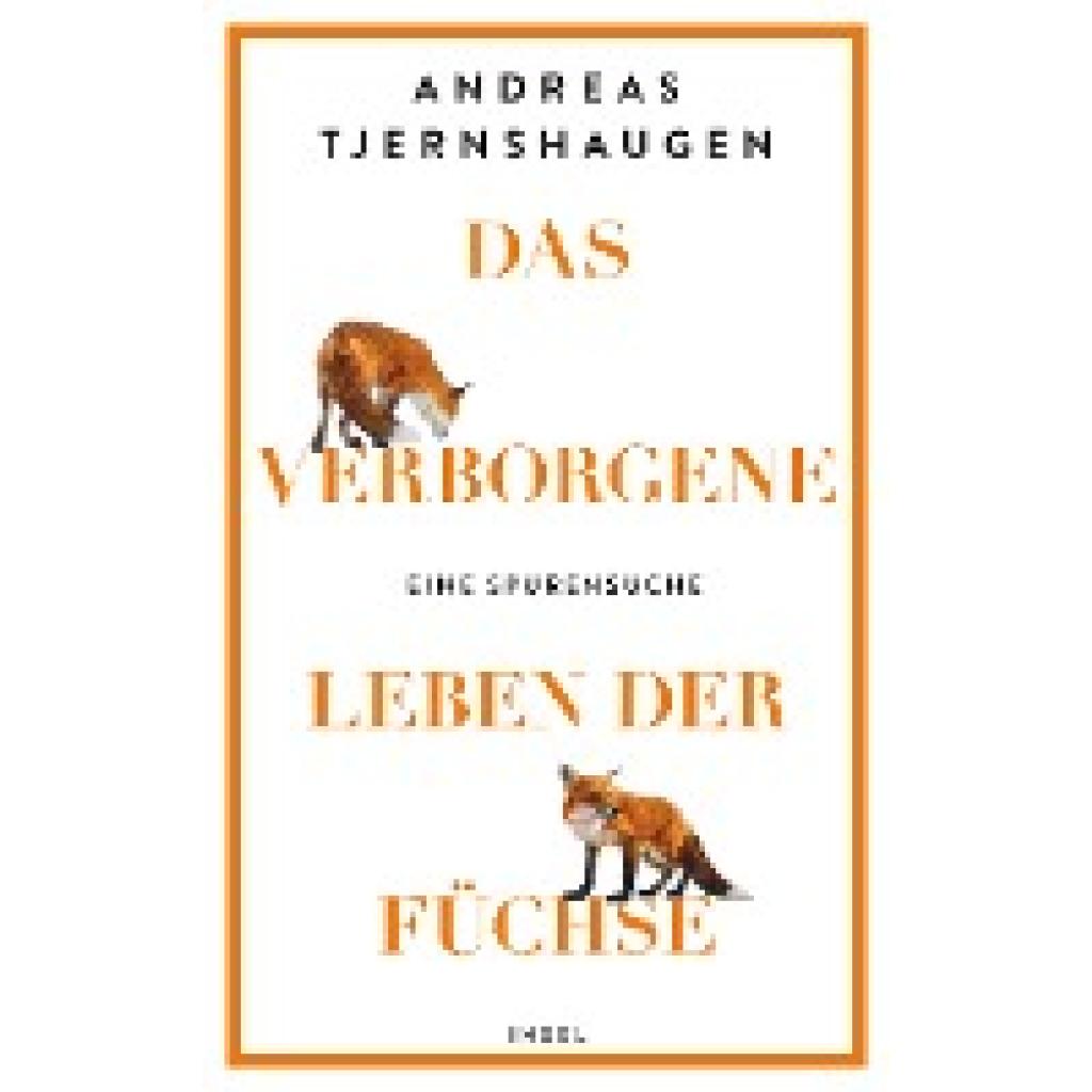 9783458643715 - Das verborgene Leben der Füchse - Andreas Tjernshaugen Gebunden
