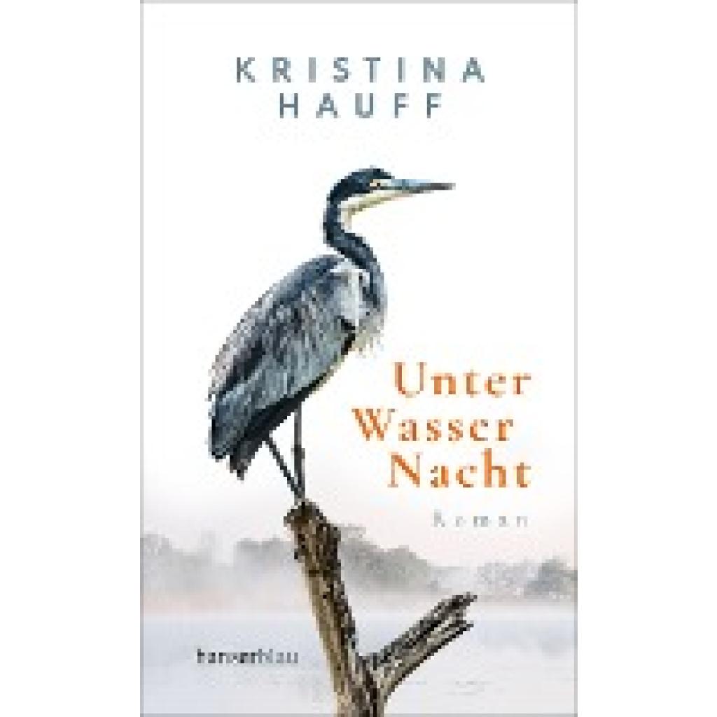 Unter Wasser Nacht (Hauff, Kristina)