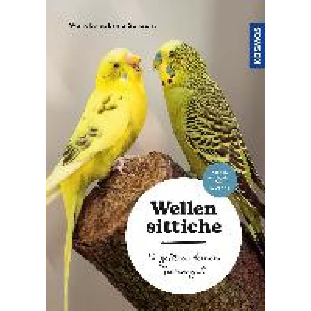 9783440175637 - Mein Tier   Wellensittiche - Wencke Sabrina Schacht Kartoniert (TB)