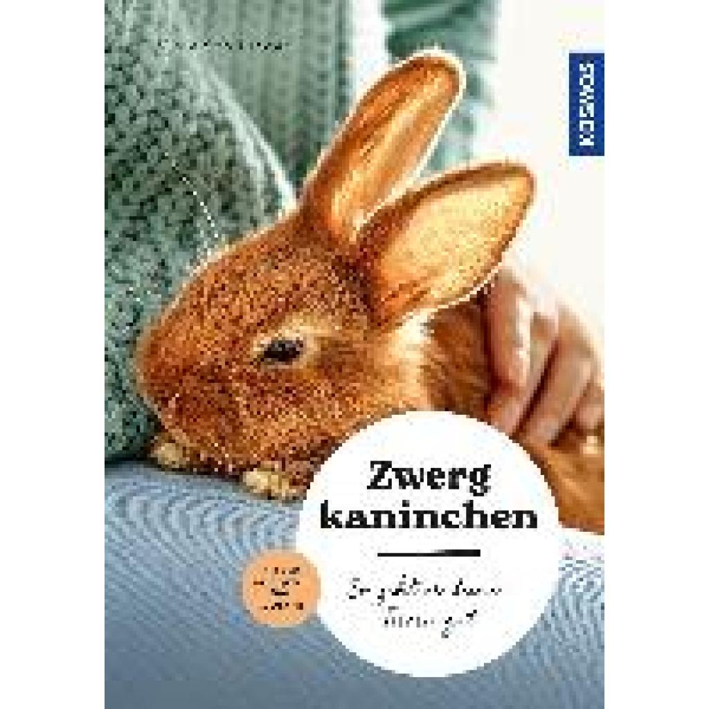 9783440175620 - Zwergkaninchen - Viola Schillinger Kartoniert (TB)