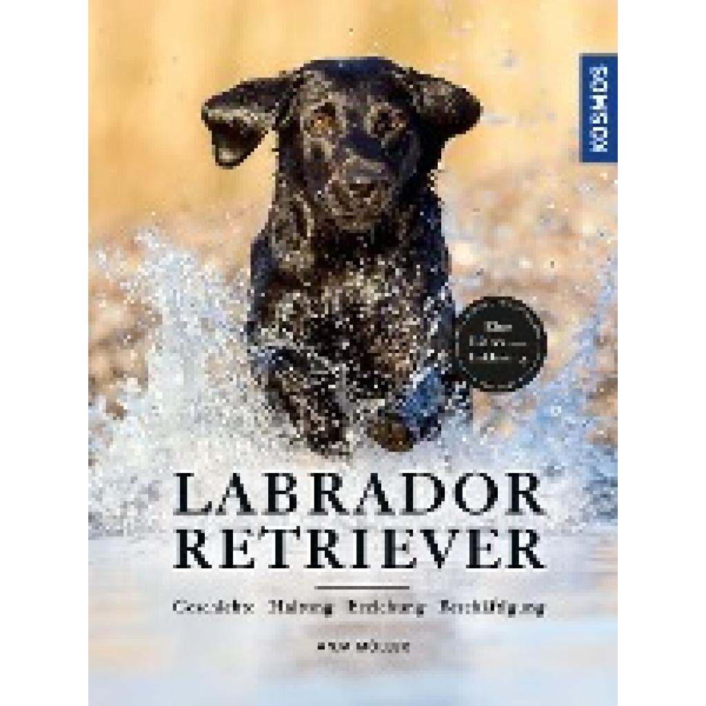Labrador Retriever (Möller, Anja)