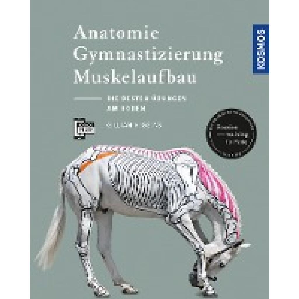 Higgins, Gillian: Anatomie, Gymnastizierung, Muskelaufbau