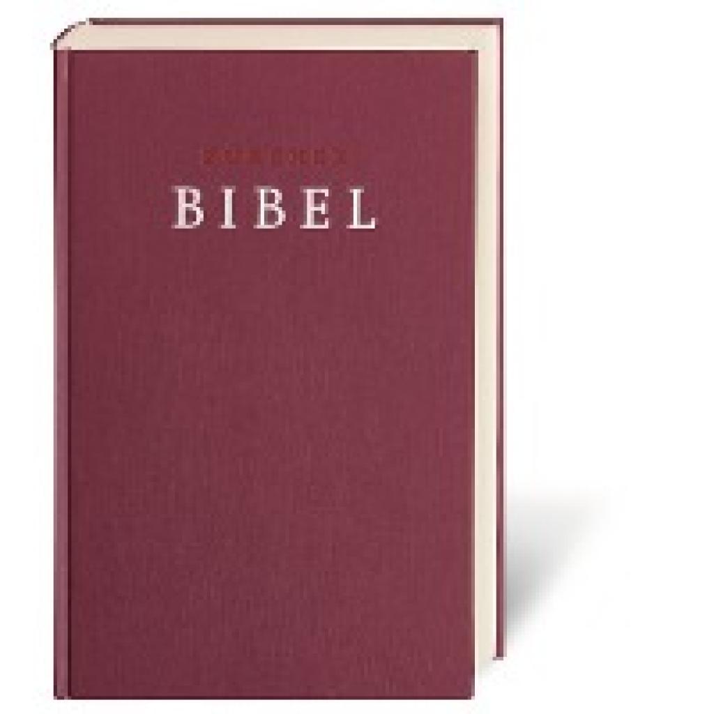 9783438012890 - Zürcher Bibel - Großdruckbibel Gebunden