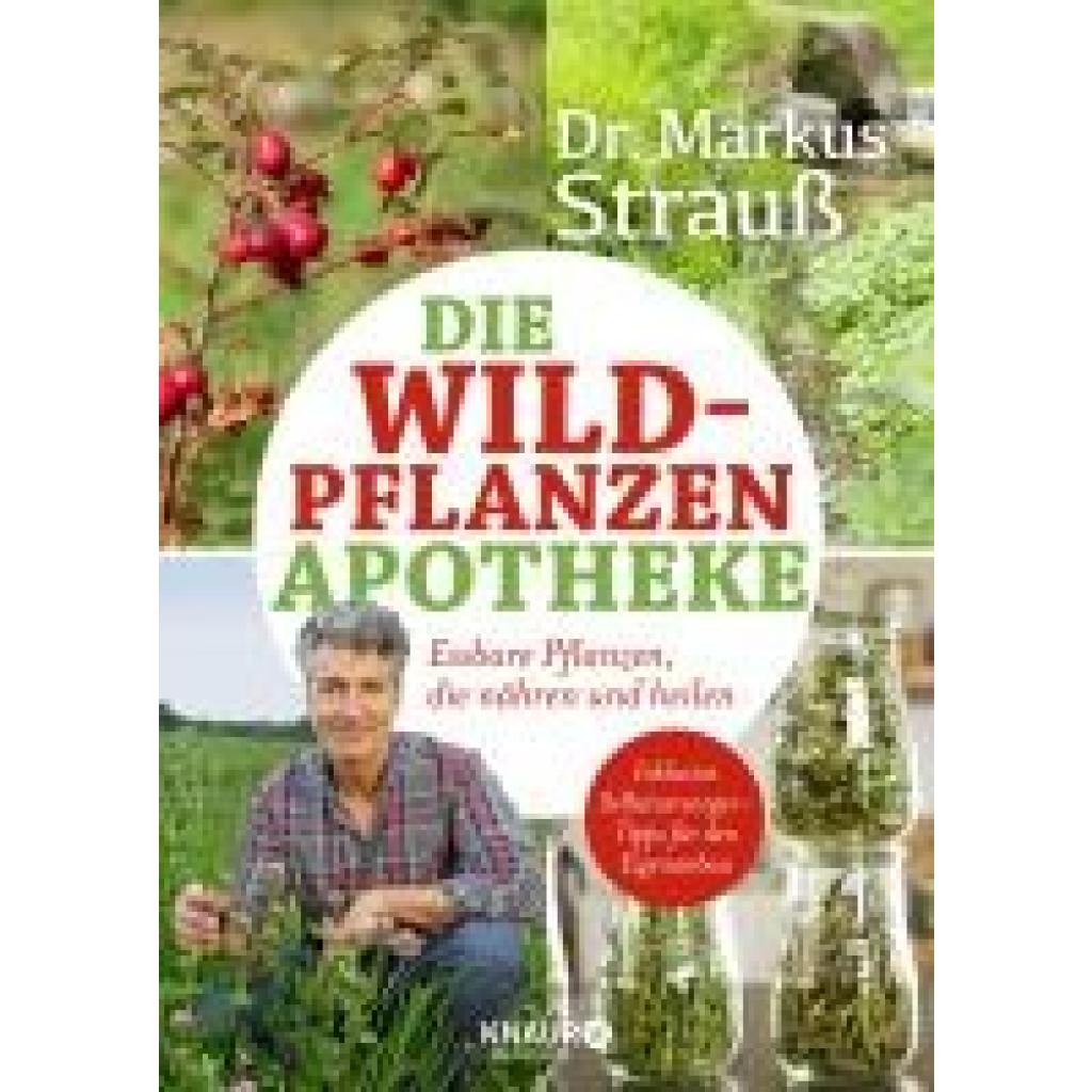 9783426658604 - Die Wildpflanzen-Apotheke - Markus Strauß Kartoniert (TB) 9783426658604 - Die Wildpflanzen-Apotheke - Markus Strauß Kartoniert (TB)