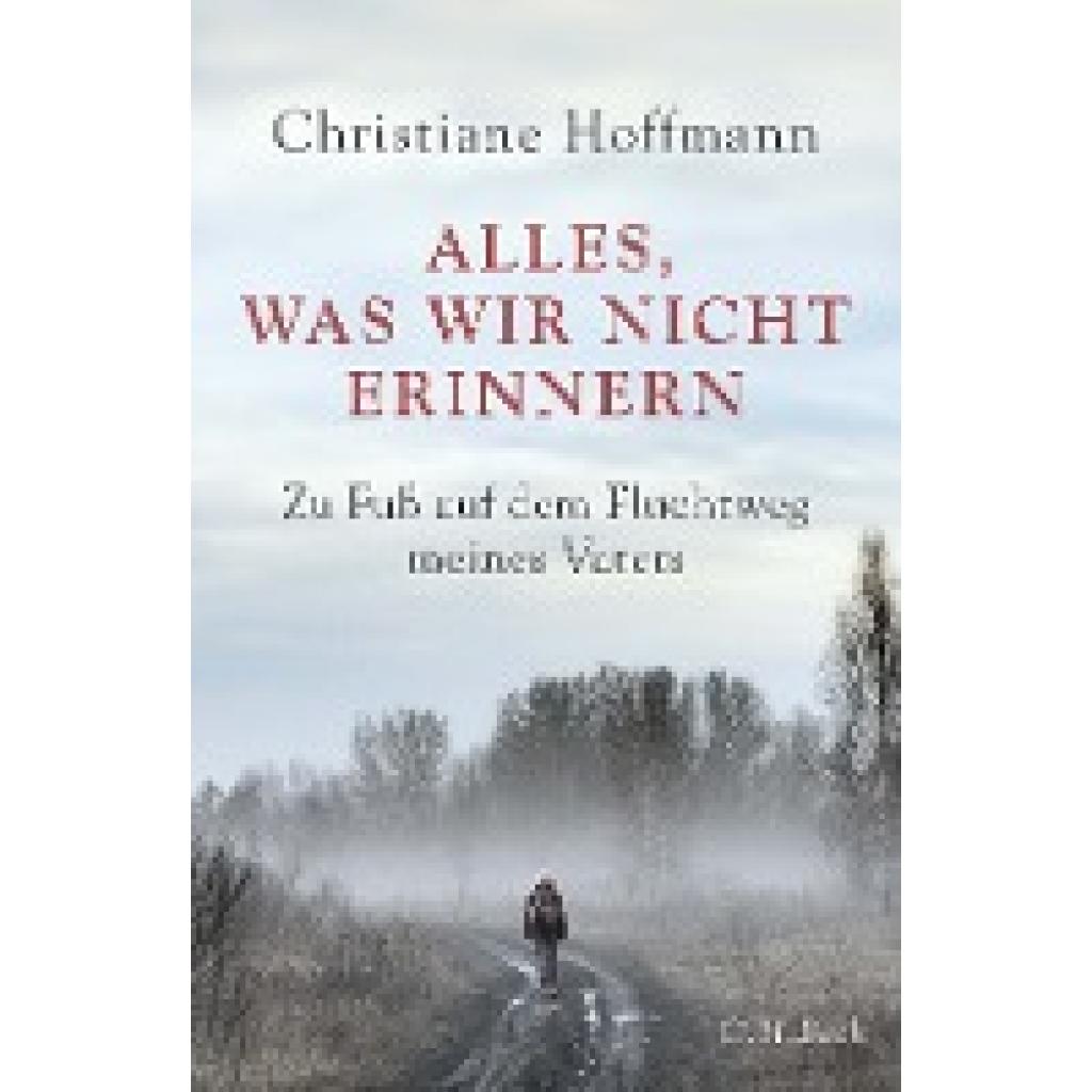 Hoffmann, Christiane: Alles, was wir nicht erinnern