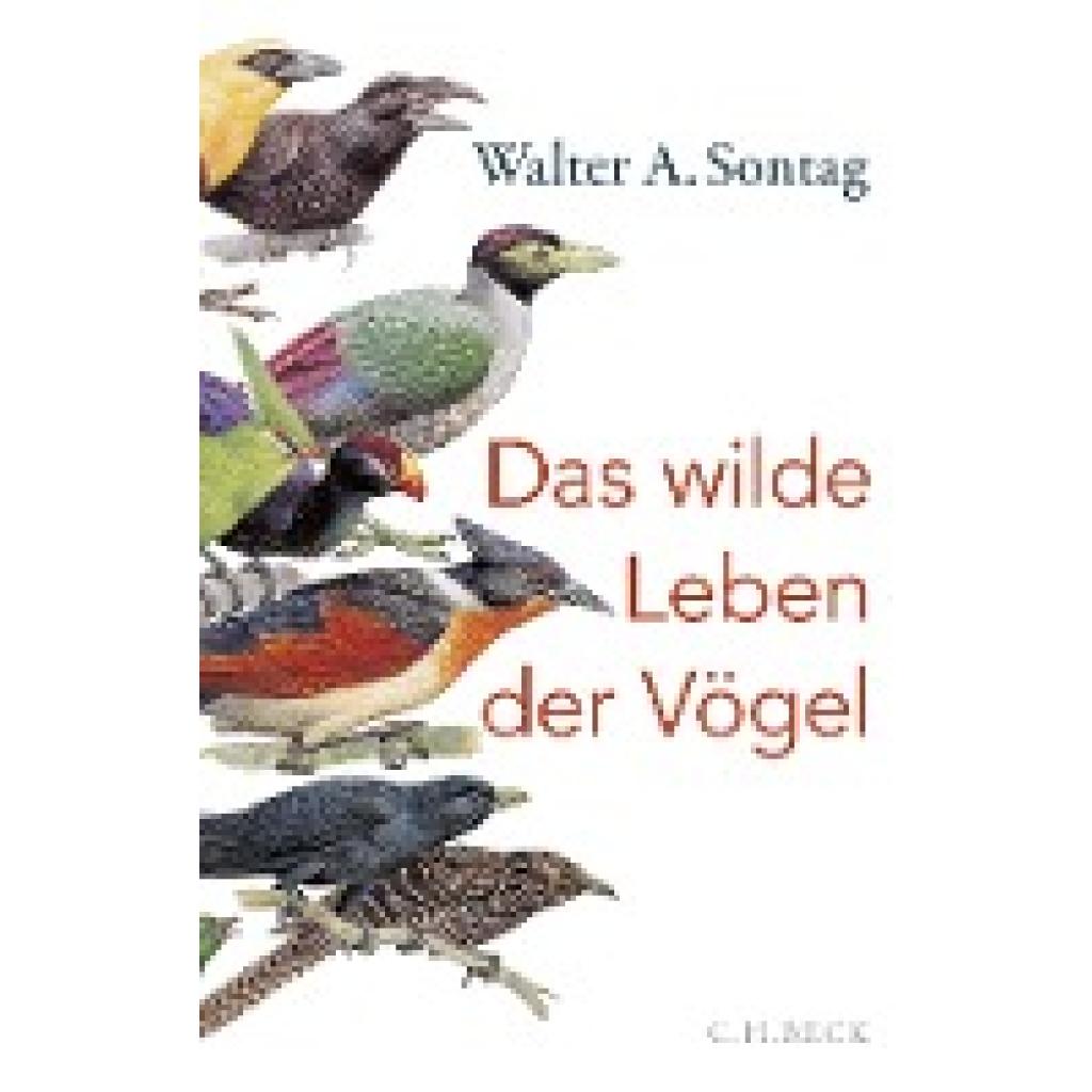 9783406749780 - Das wilde Leben der Vögel - Walter A Sontag Gebunden 9783406749780 - Das wilde Leben der Vögel - Walter A Sontag Gebunden