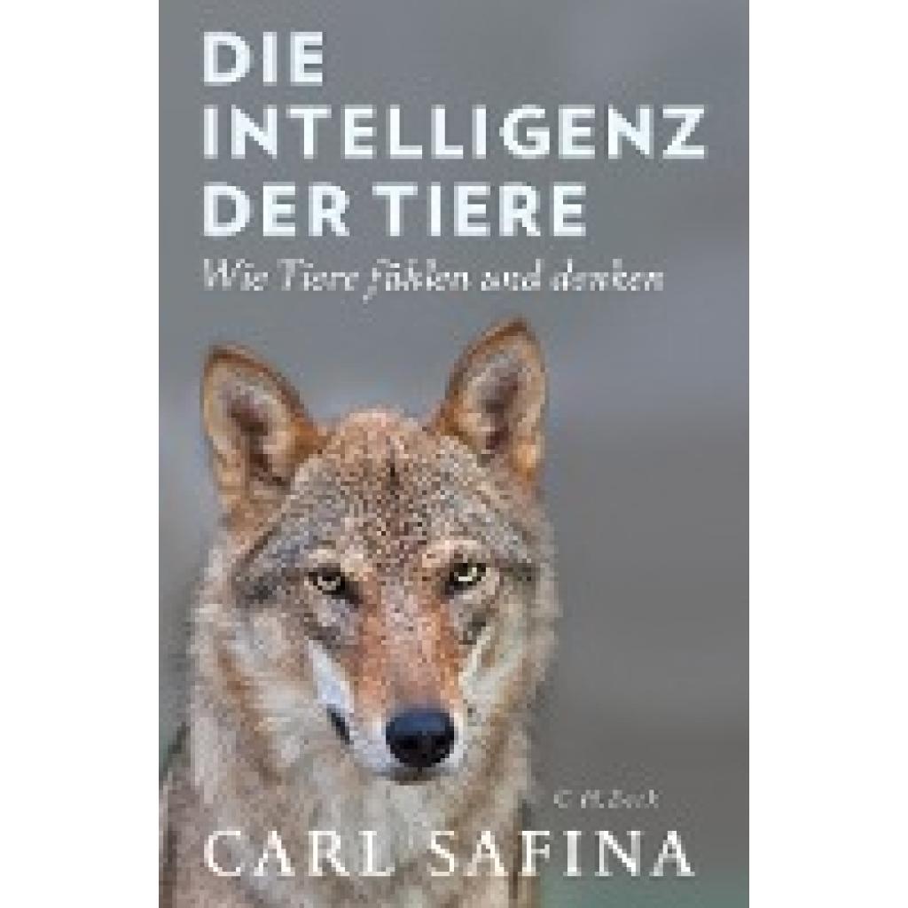 9783406707902 - Die Intelligenz der Tiere - Carl Safina Gebunden