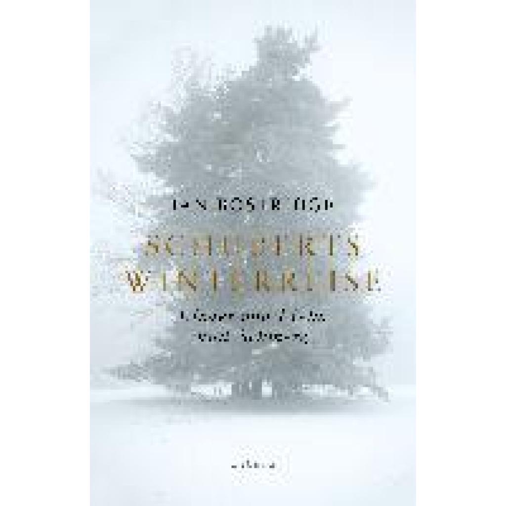 Schuberts Winterreise (Bostridge, Ian)