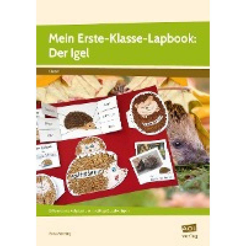 9783403106623 - Lernen mit Lapbooks - Grundschule   Mein Erste-Klasse-Lapbook Der Igel - Petra Mönning Geheftet