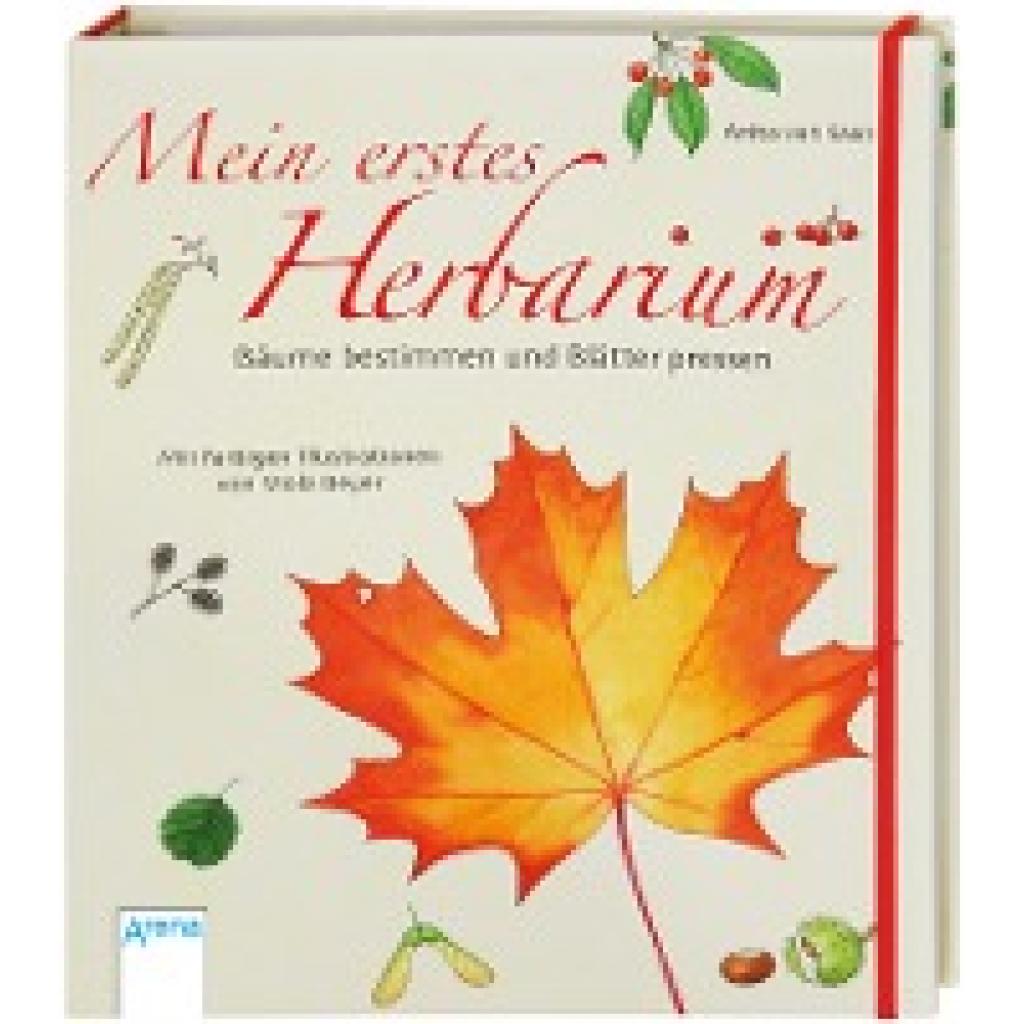 Mein erstes Herbarium - Bäume bestimmen und Blätter pressen (Saan, Anita van)