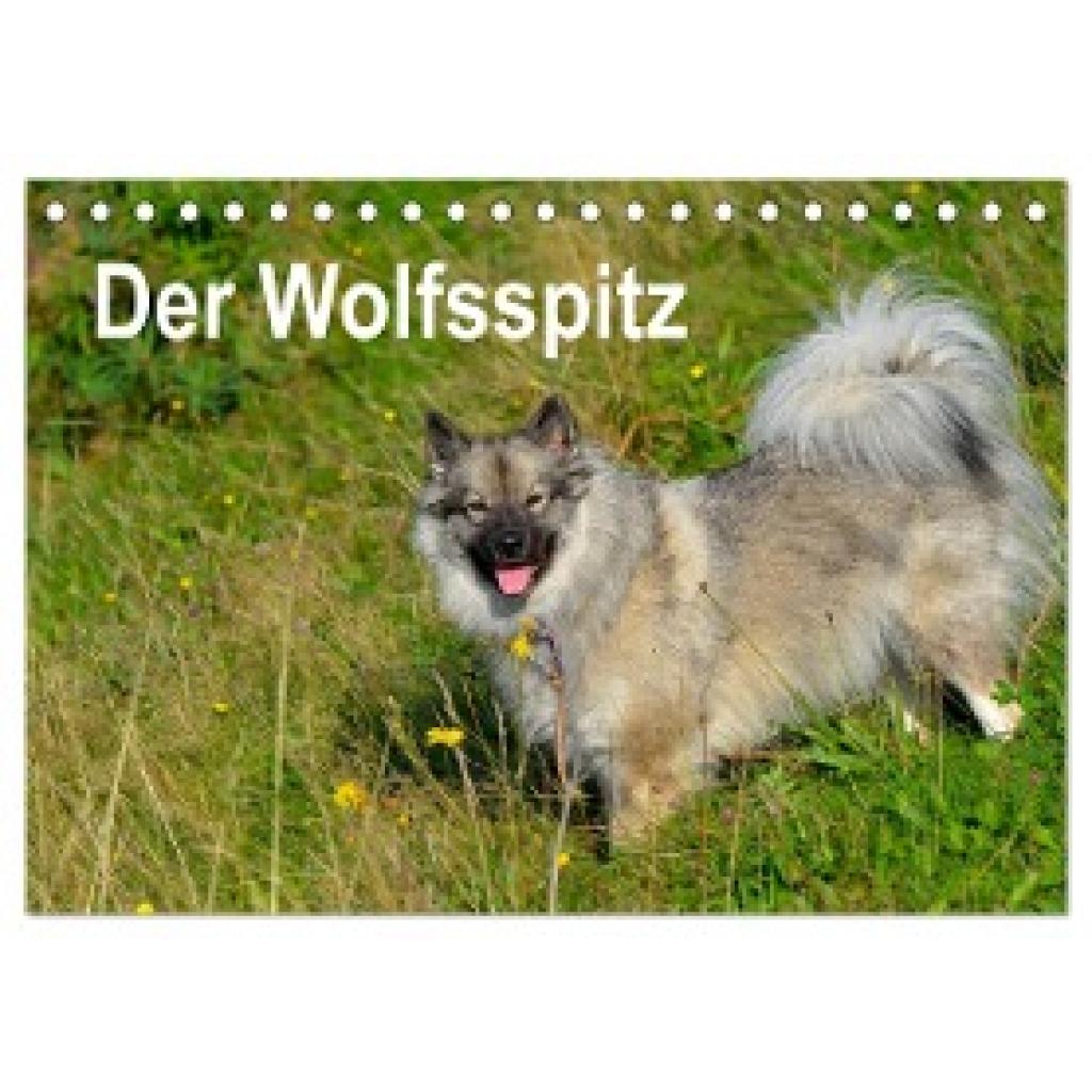 Werner-Ney, S.: Der Wolfsspitz (Tischkalender 2024 DIN A5 quer), CALVENDO Monatskalender