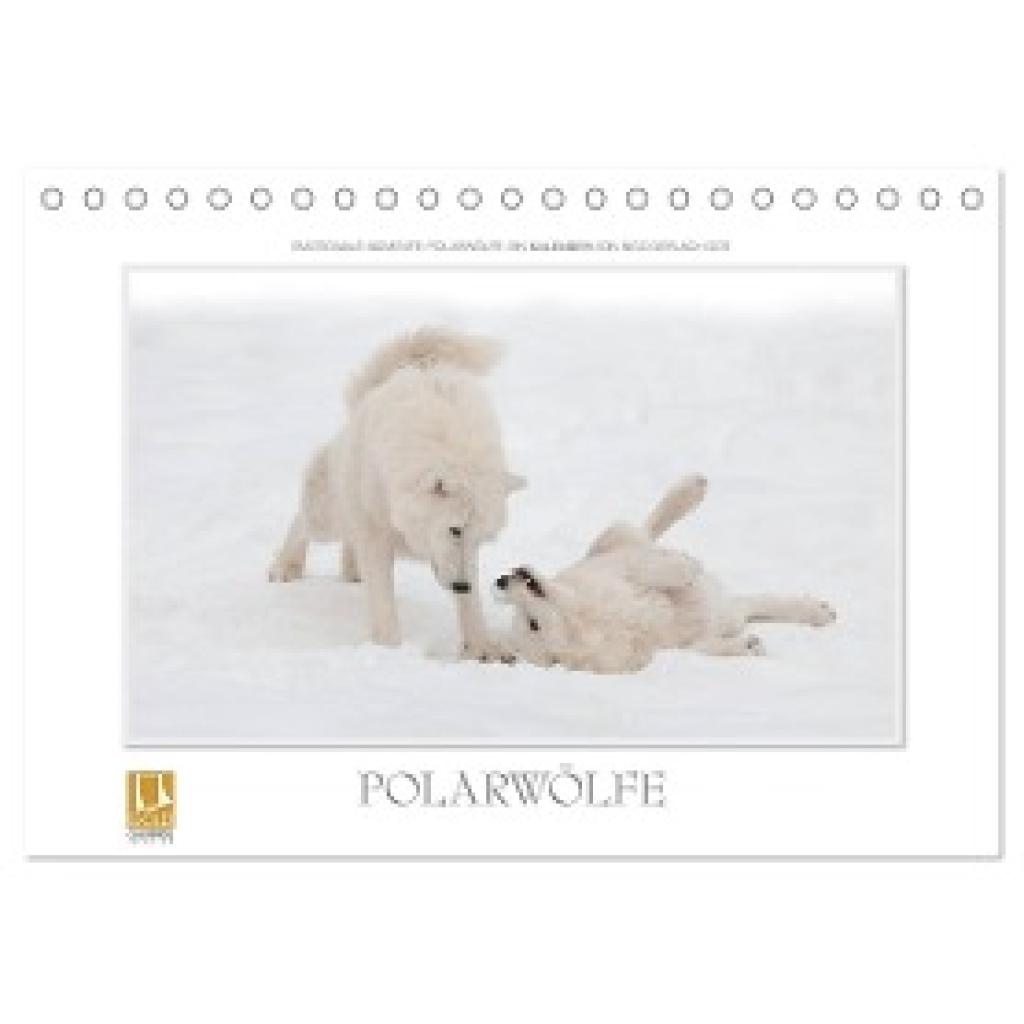 Gerlach GDT, Ingo: Emotionale Momente: Polarwölfe. (Tischkalender 2024 DIN A5 quer), CALVENDO Monatskalender