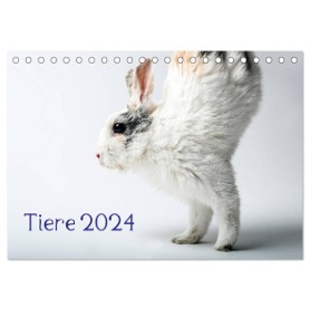 Zwanzger, Wolfgang: Tiere 2024 (Tischkalender 2024 DIN A5 quer), CALVENDO Monatskalender