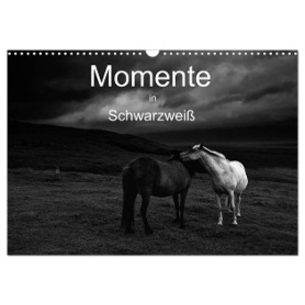 Gerken, Klaus: Momente in Schwarzweiß (Wandkalender 2024 DIN A3 quer), CALVENDO Monatskalender