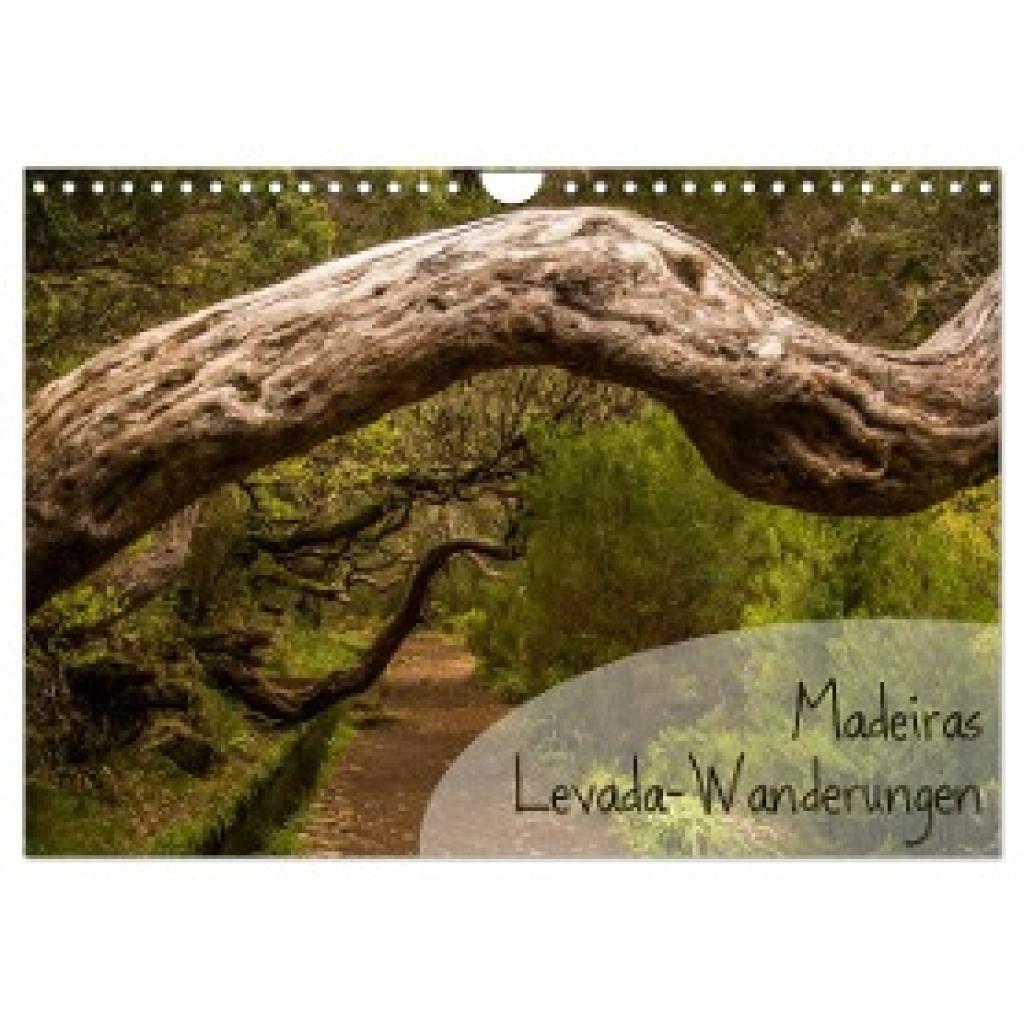Gimpel, Frauke: Madeiras Levada-Wanderungen (Wandkalender 2024 DIN A4 quer), CALVENDO Monatskalender