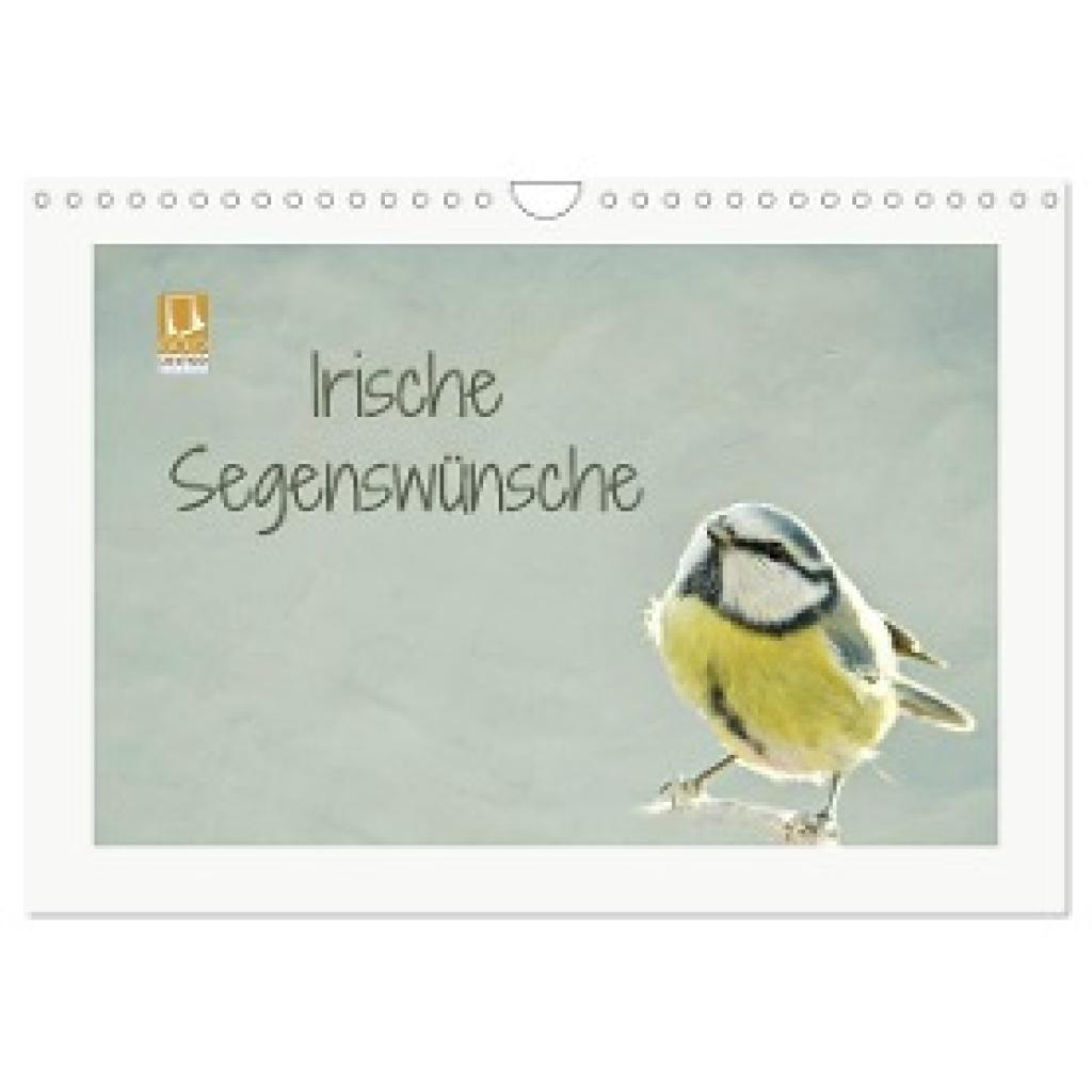Hultsch, Heike: Irische Segenswünsche (Wandkalender 2024 DIN A4 quer), CALVENDO Monatskalender