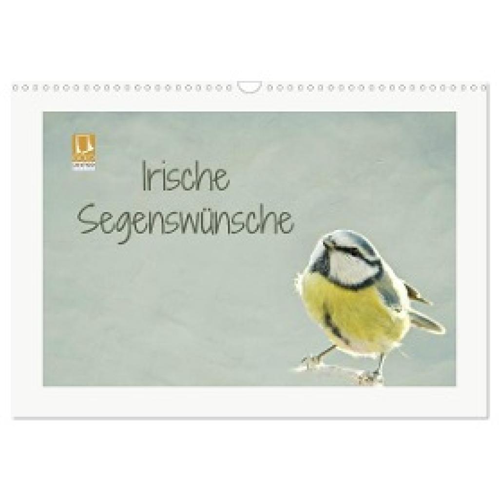 Hultsch, Heike: Irische Segenswünsche (Wandkalender 2024 DIN A3 quer), CALVENDO Monatskalender
