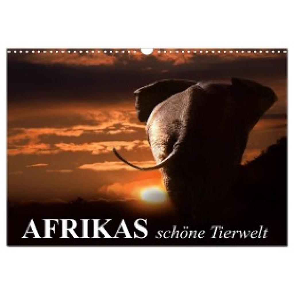 Stanzer, Elisabeth: Afrikas schöne Tierwelt (Wandkalender 2024 DIN A3 quer), CALVENDO Monatskalender