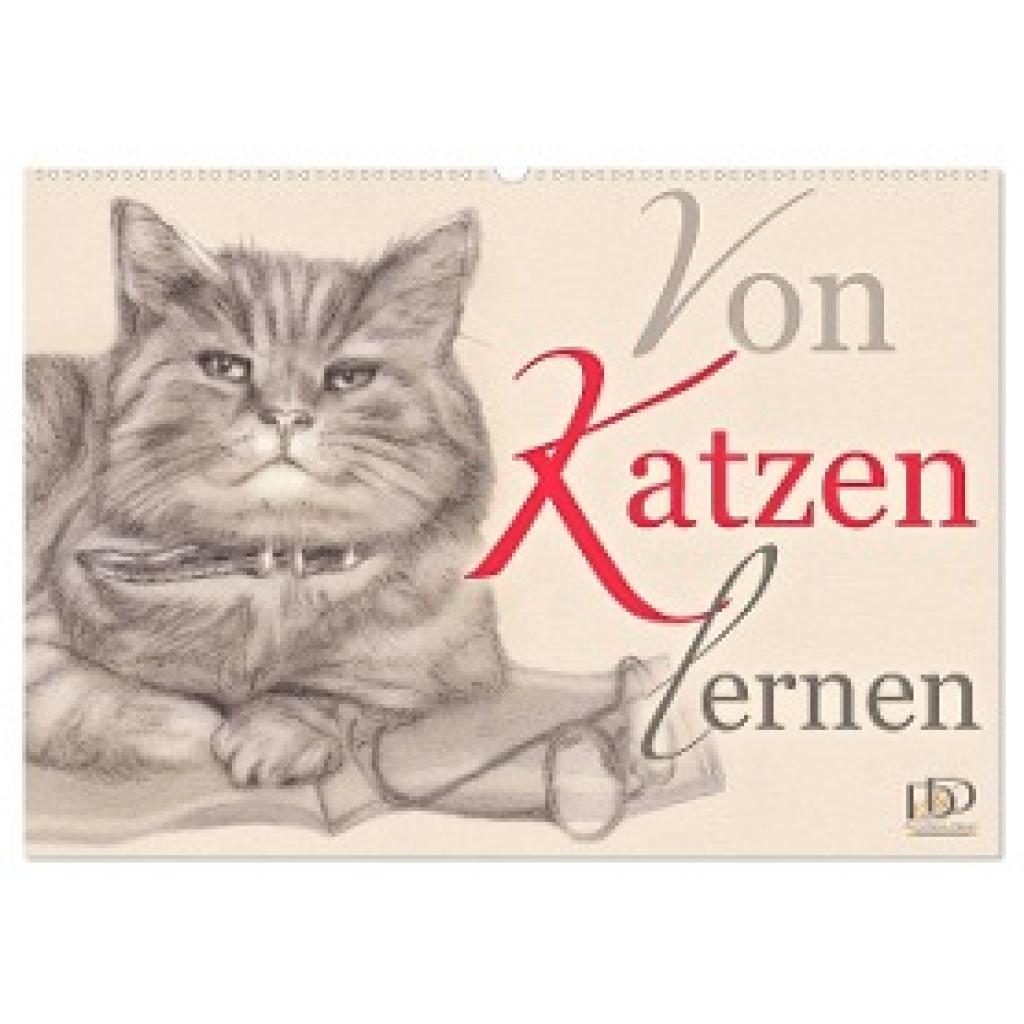 Kunst & Design, Dany'S: Von Katzen lernen (Wandkalender 2024 DIN A2 quer), CALVENDO Monatskalender