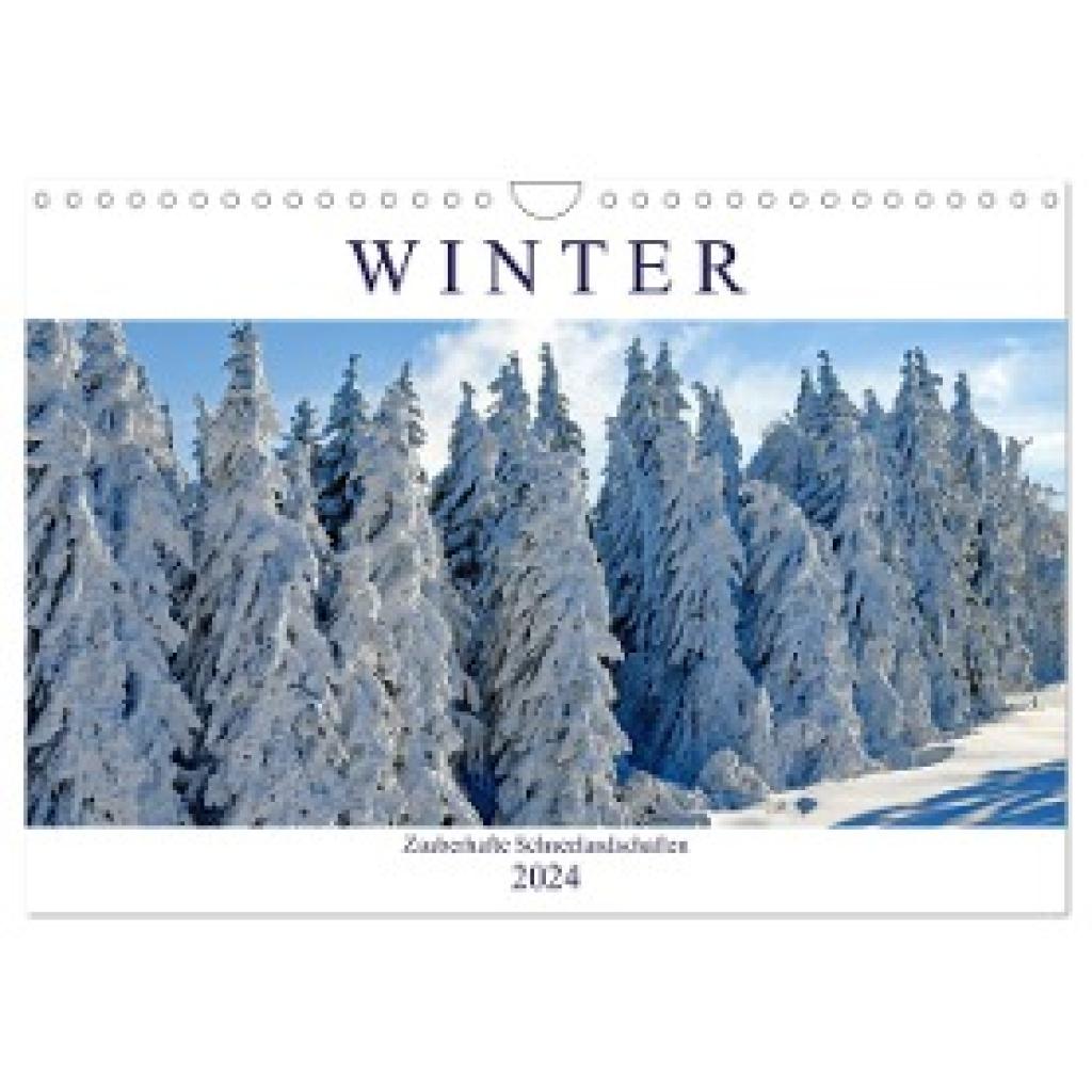 Hurley, Rose: Winter. Zauberhafte Schneelandschaften (Wandkalender 2024 DIN A4 quer), CALVENDO Monatskalender