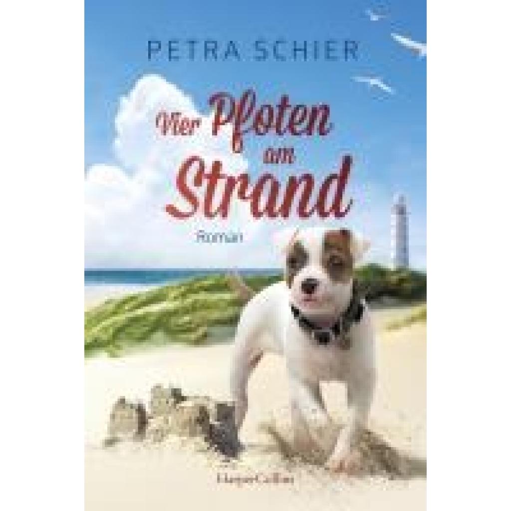 9783365005248 - Vier Pfoten am Strand   Lichterhaven Bd2 - Petra Schier Kartoniert (TB)
