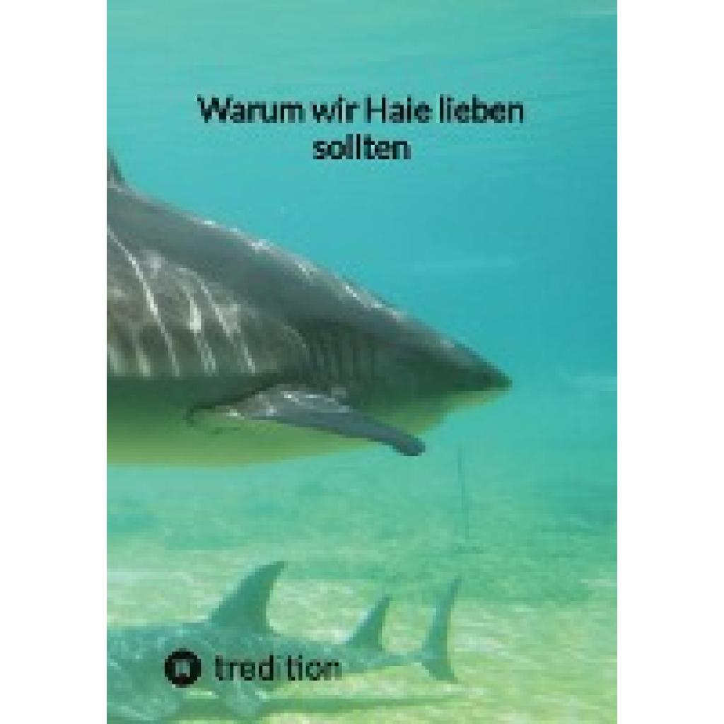 Warum wir Haie lieben sollten (Moritz)